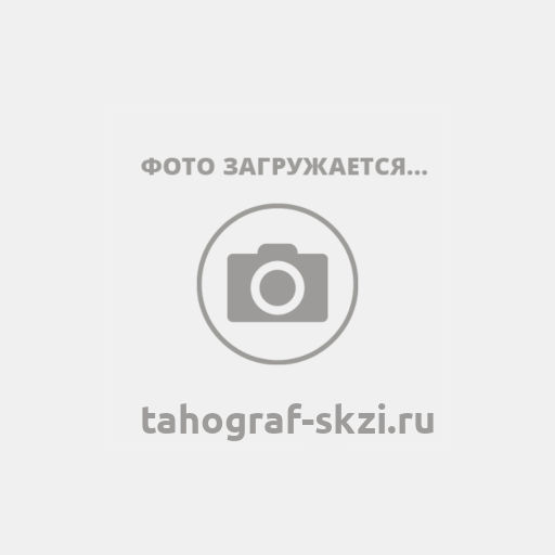 Штрих-Тахо RUS: цифровой тахограф в России